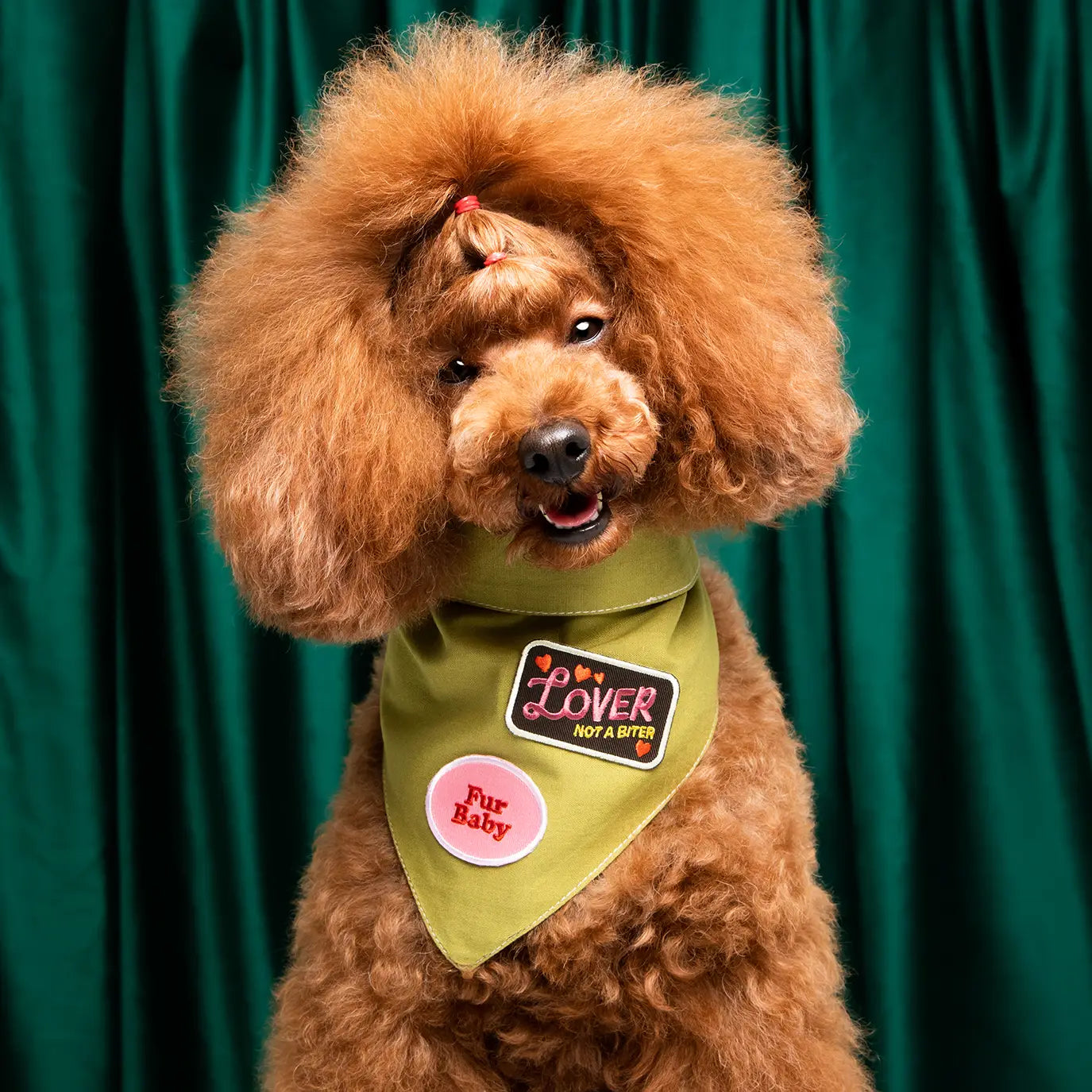 Liefhebber geen bijter Badge