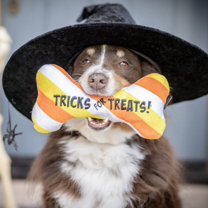 Tricks for Treats Bone