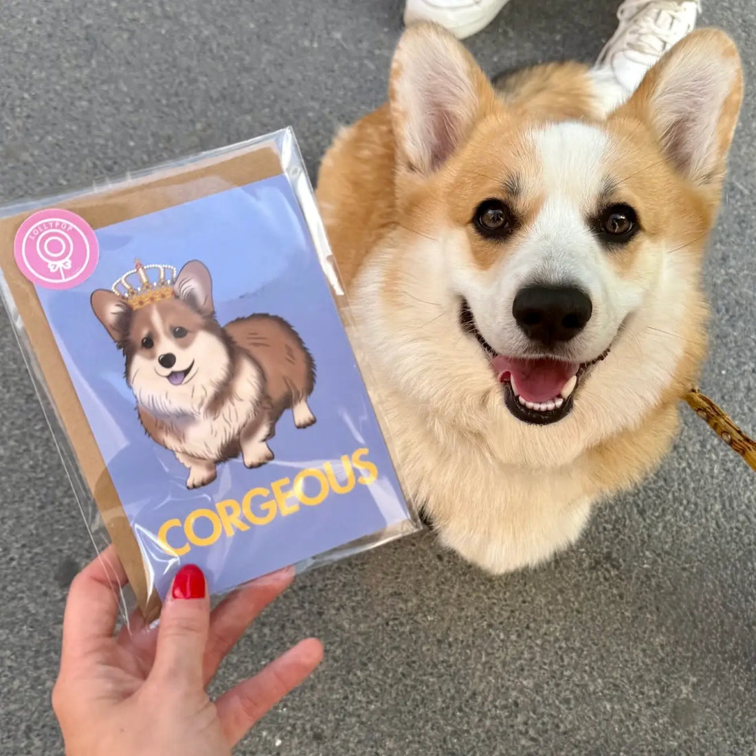 Corgeous Corgi Greeting Card