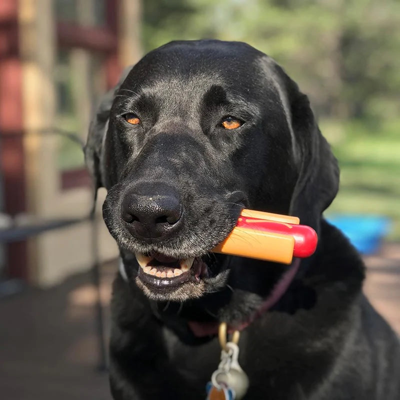 Hot Dog Duurzaam Nylon Kauwspeeltje