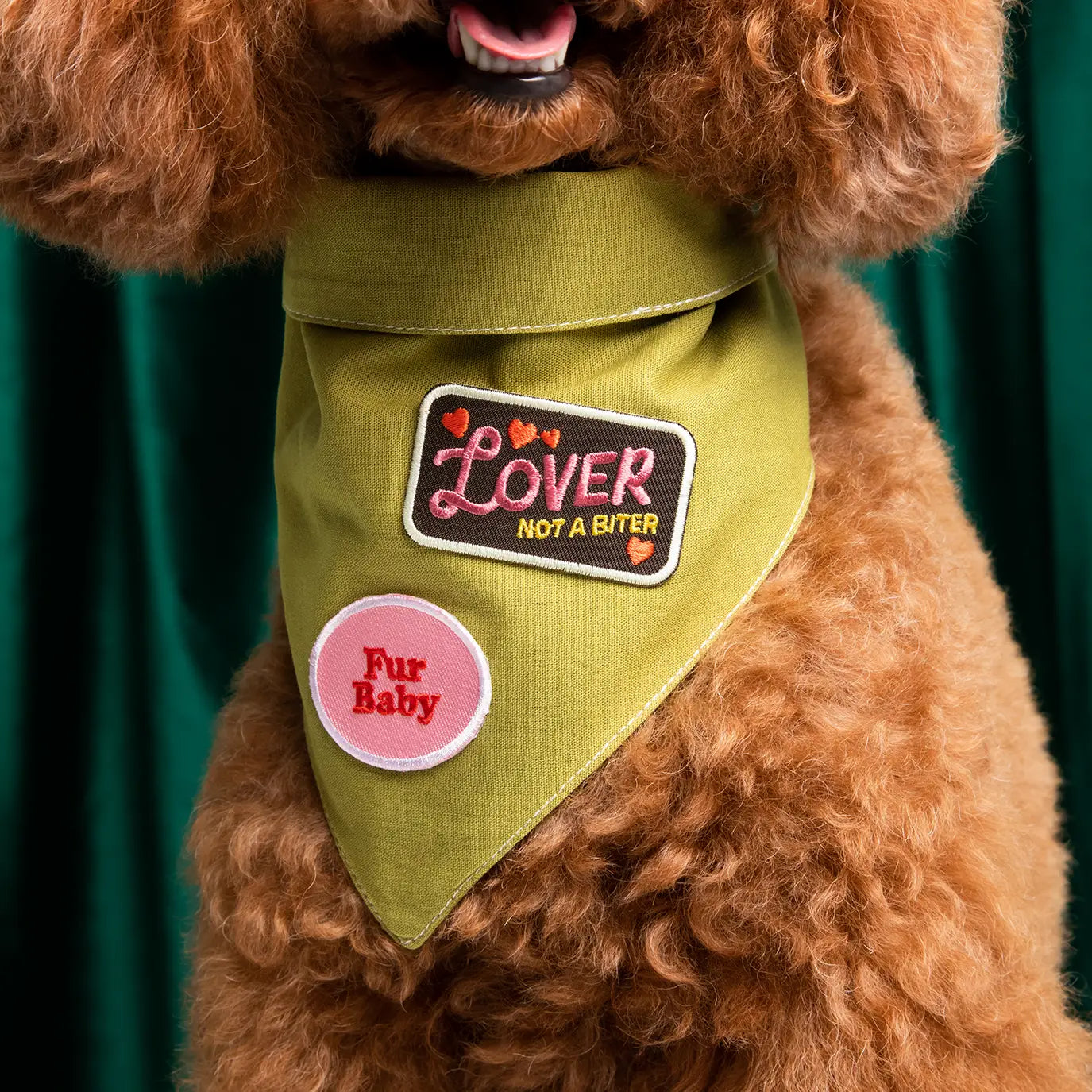 Liefhebber geen bijter Badge