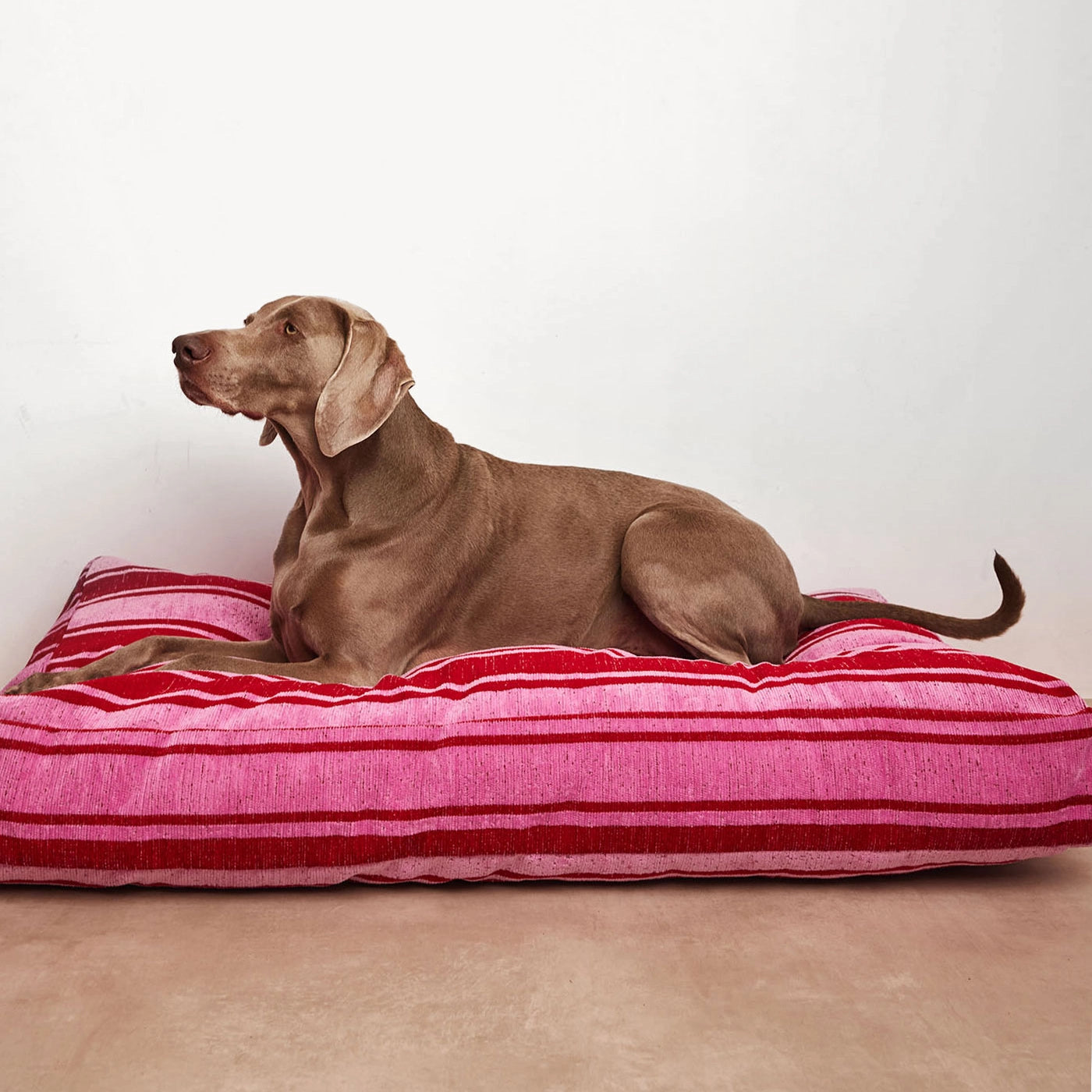 Stripe Hondenbed - Roze/Rood