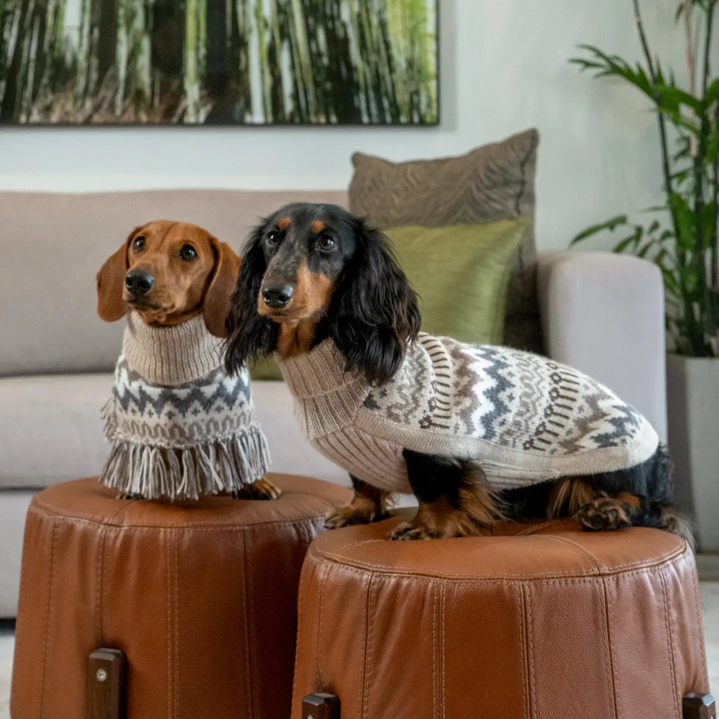 Woolly Winter Alpaca Sweater