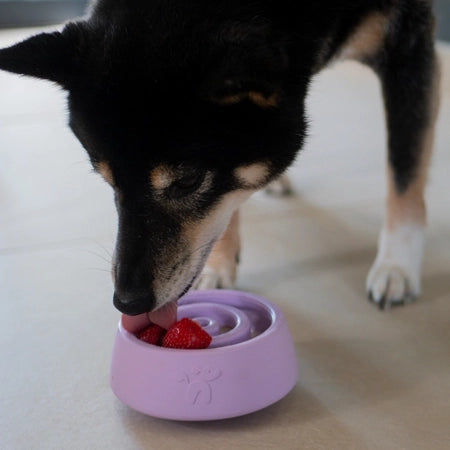 Yoomy Wobble Enrichment Toy | Lavender