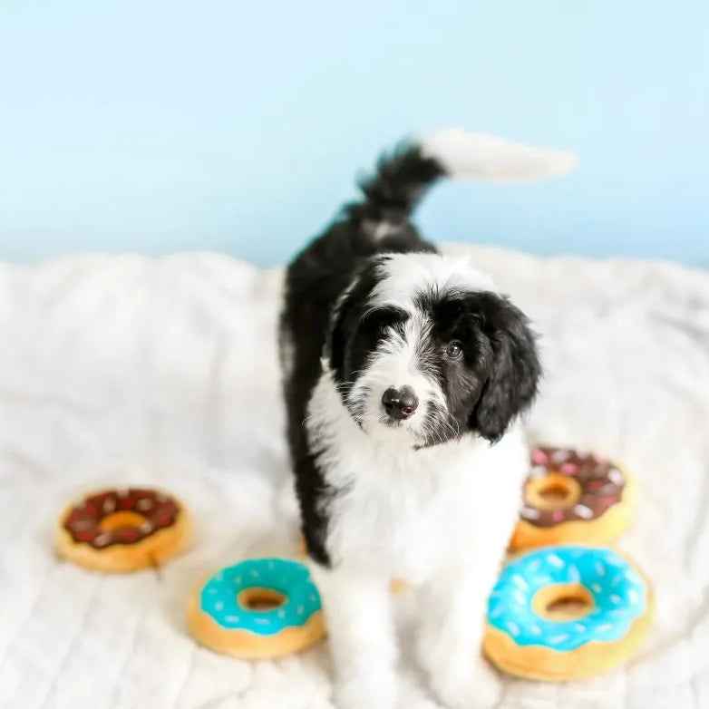 Mini Donut - Chocolate