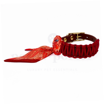 Florine Collar | Autumn