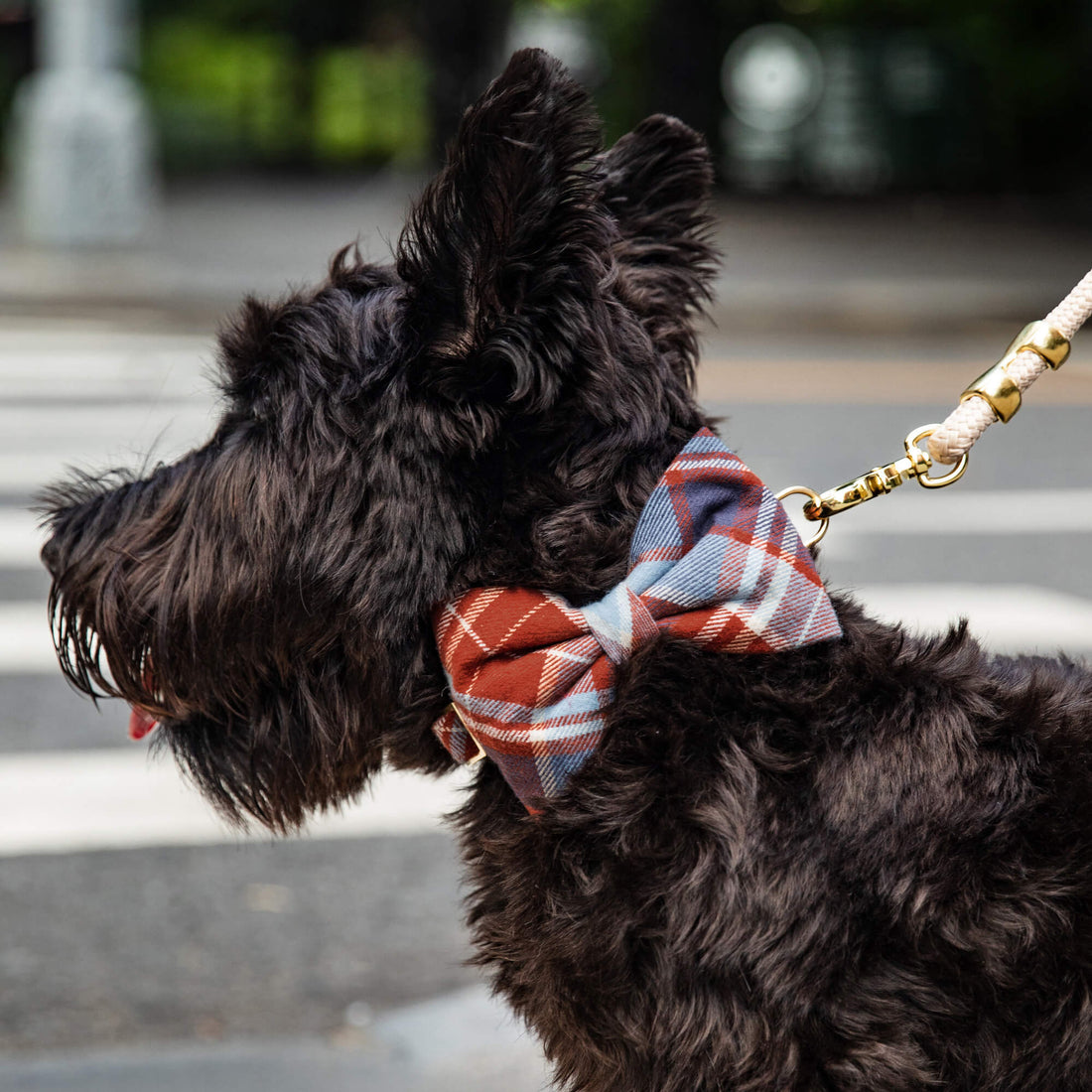 Maple Plaid Flannel Bow Tie Collar