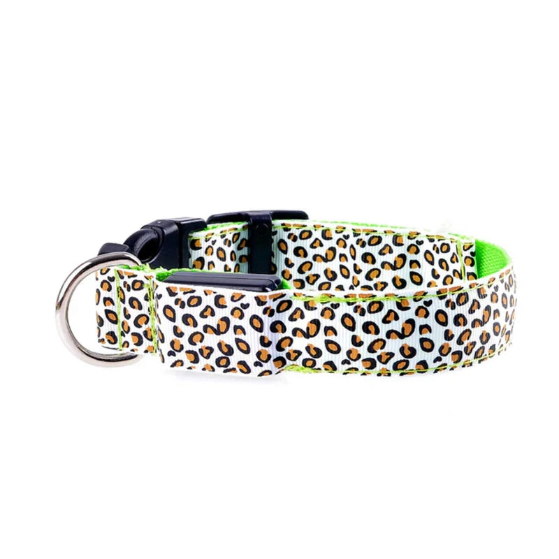 LED Dog Collar - Green