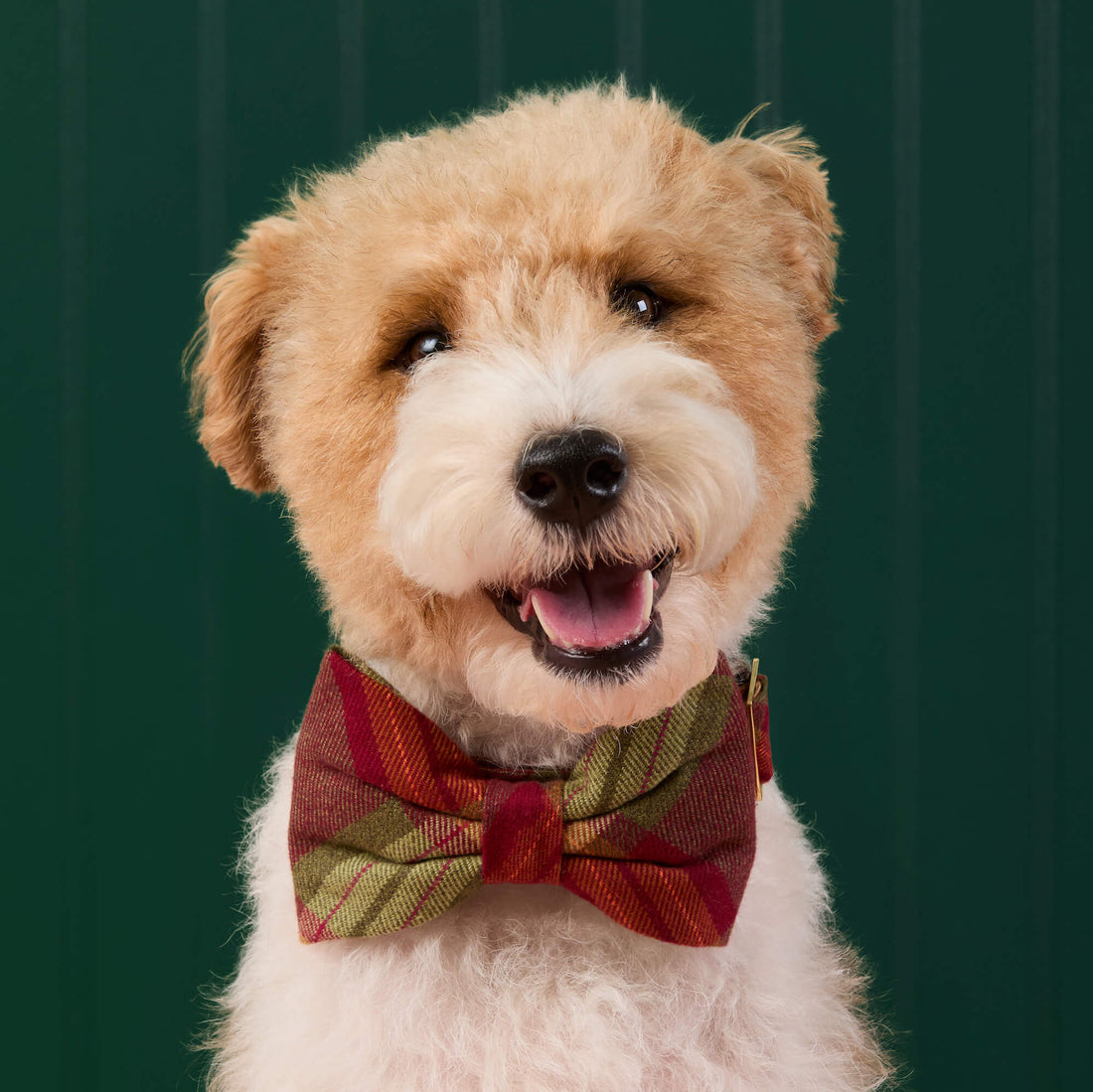 Orchard Plaid Flannel Bow Tie Collar