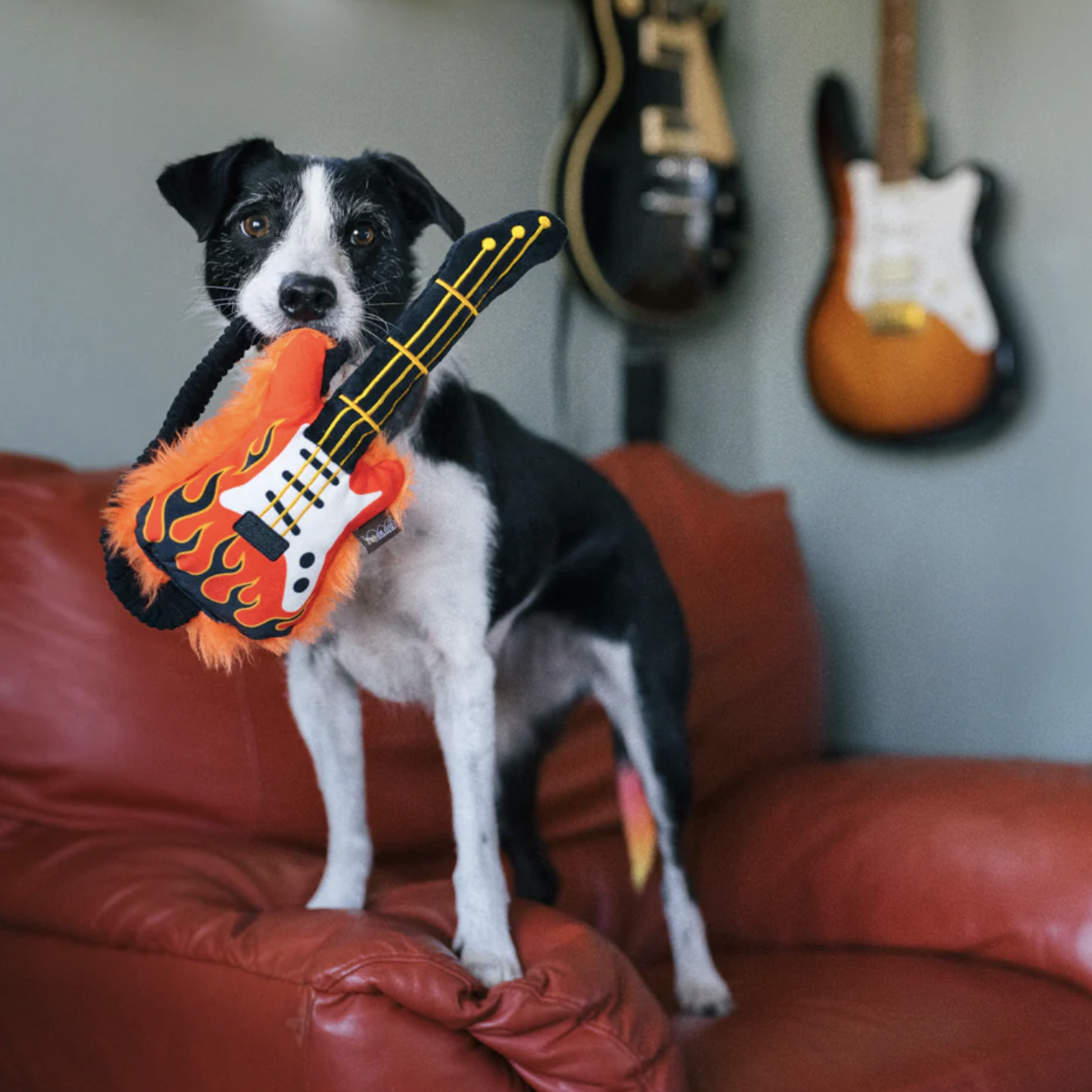 Rock'n Roll Lover Elektrische Gitaar