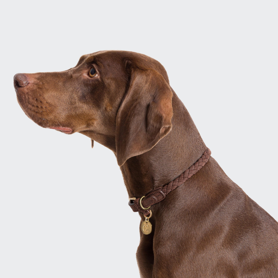 Cloud7 Dog Collar Ravello - Hazel