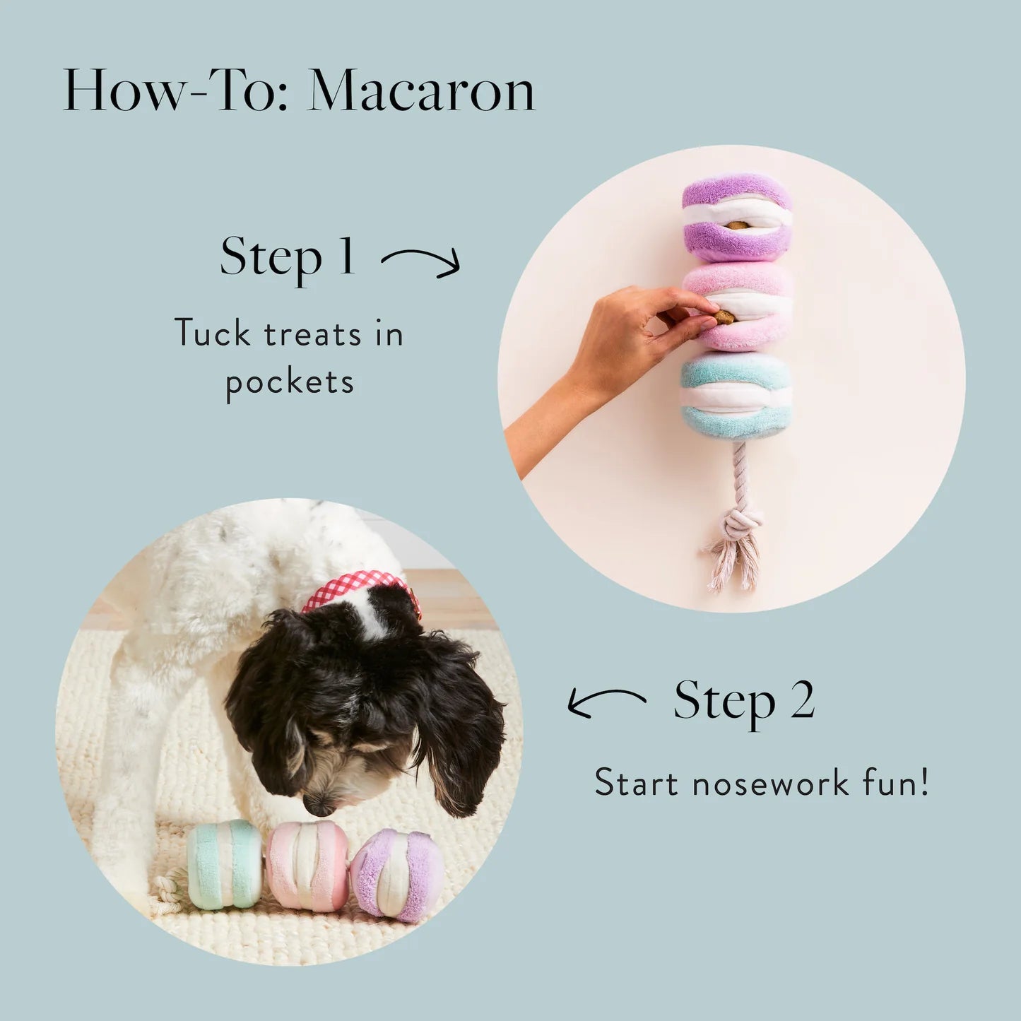 Macarons Interactive Snuffle Rope Dog Toy