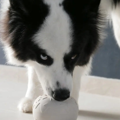 Yoomy Donut Enrichment Toy | Sand