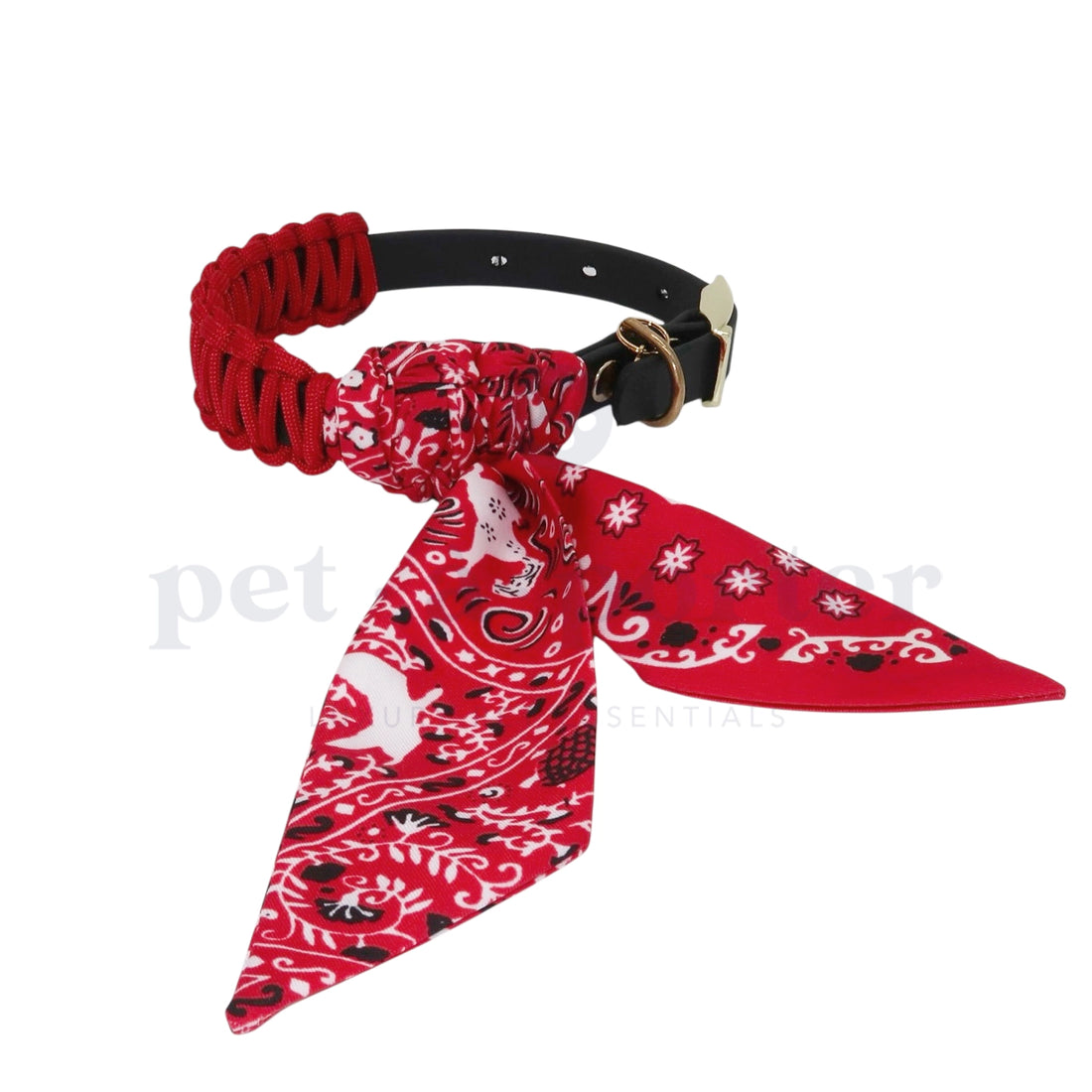 Florine Collar | Monza