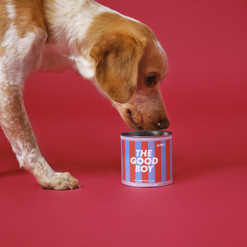 The Good Boy | 5-IN-1 Multivitamine