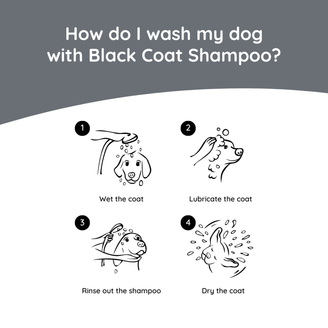 Labrador Care Set | Black Coat