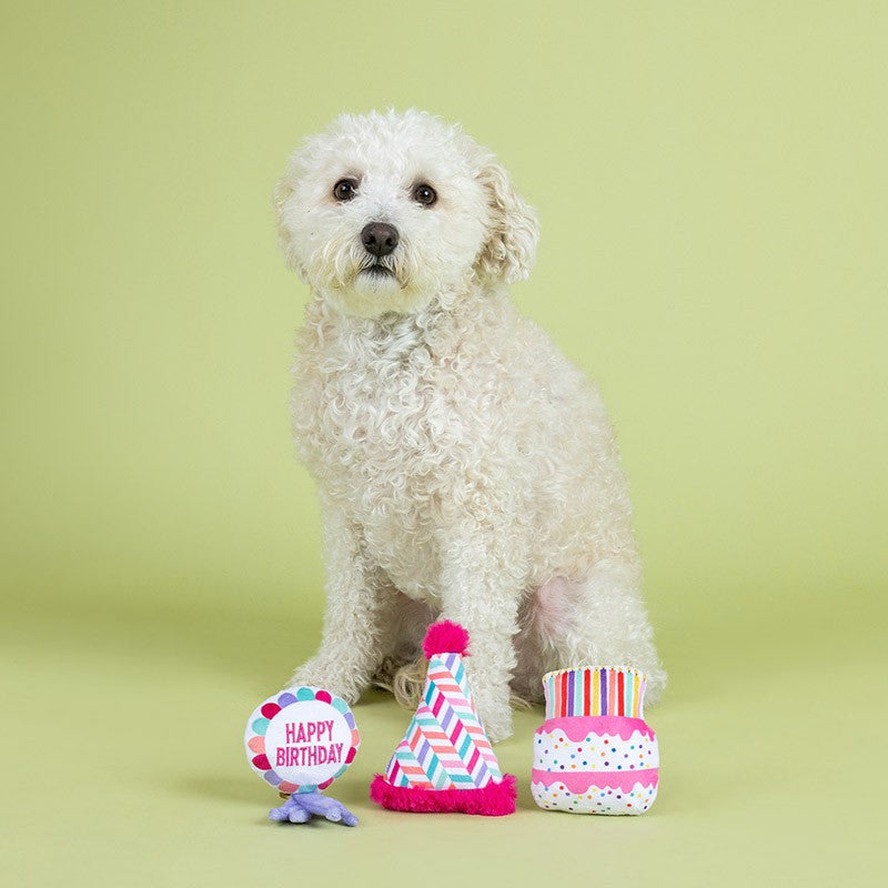 Get A Woofwoof | Small Dogs Toy Set