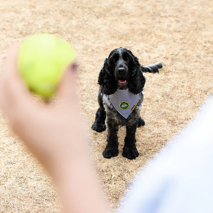 Fetch Fanatiek Badge