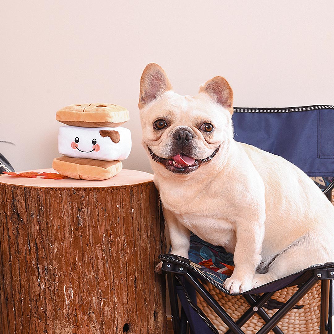 Camping Pups - S&