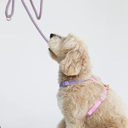 Dog Harness - Unicorn