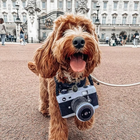 Globetrotter Camera