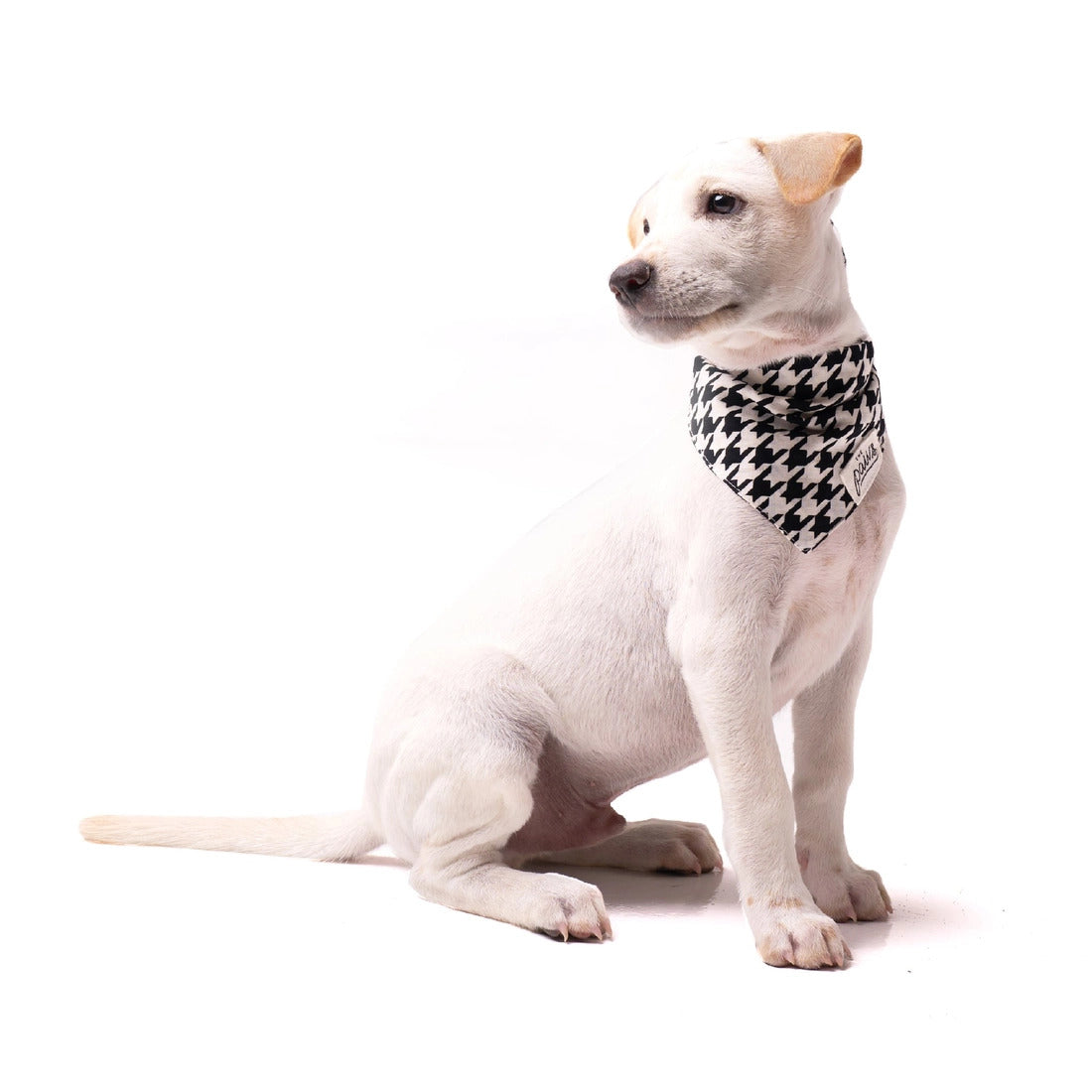 Klassieke Houndstooth Bandana