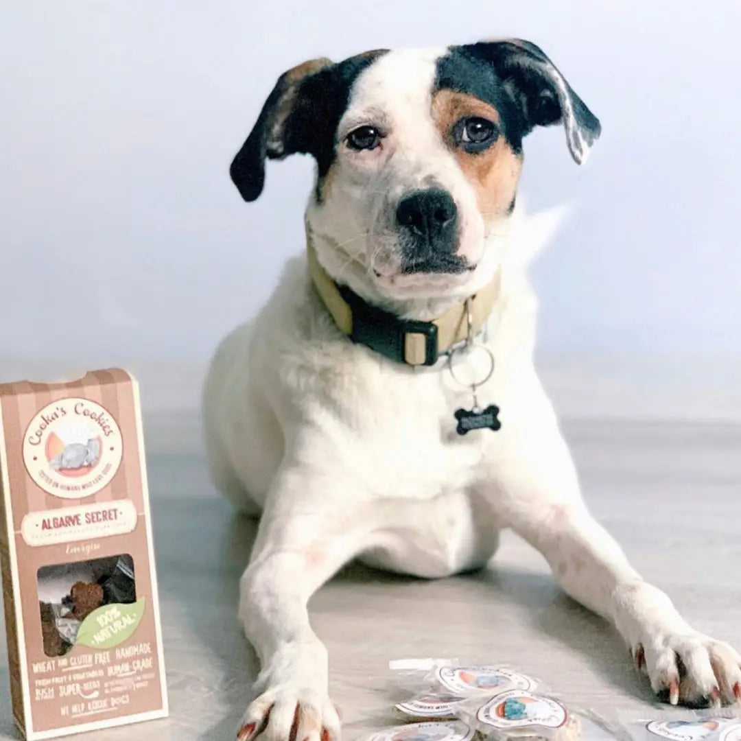 Algarve Secret | Natural Dog Treats with Superfoods