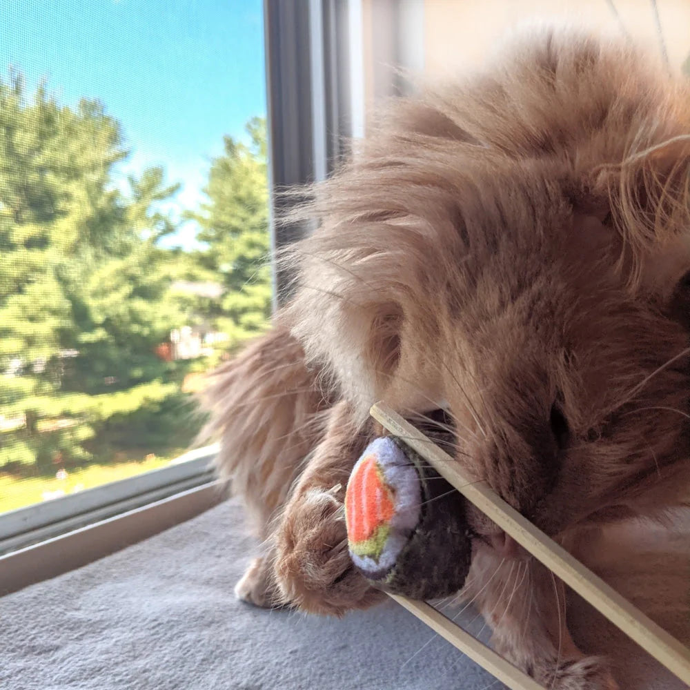 Classic Sushi Cat Toy